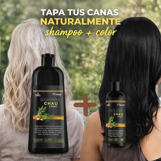 SHAMPOO CHAO CANAS + TRATAMIENTO